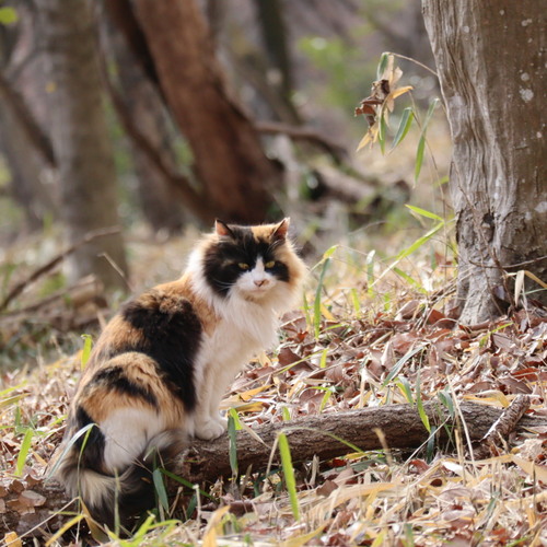 Photo #14030960