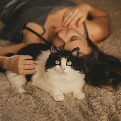 Photo #14031093