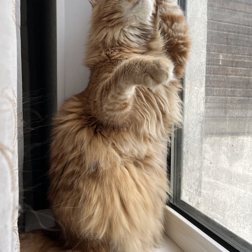 Photo #14031168