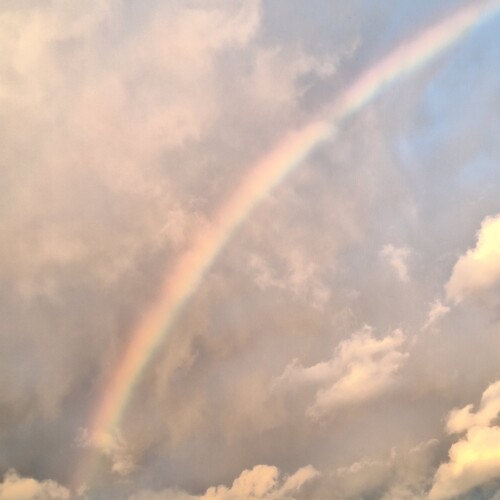Photo #14031196