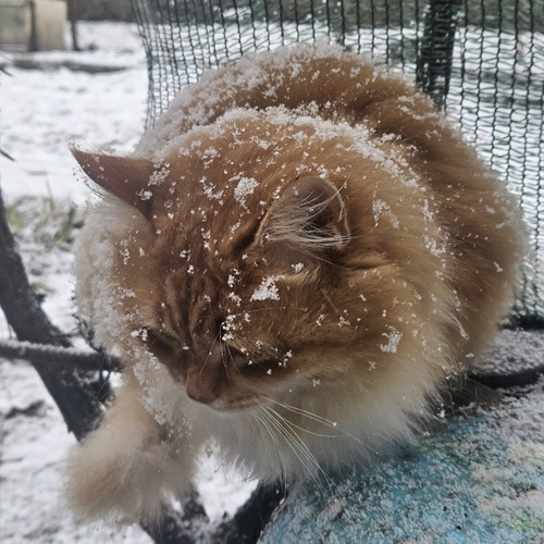 Photo #14031260