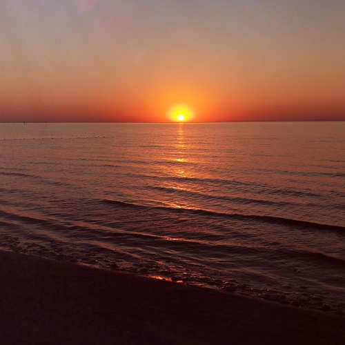 Photo #14031278