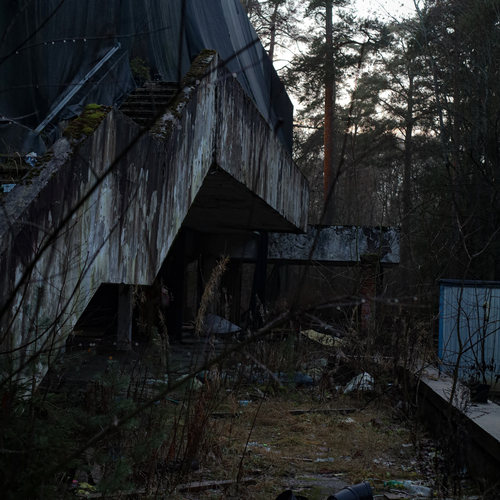 Photo #14031287
