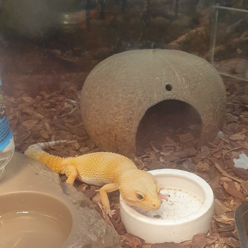 Photo #14031295