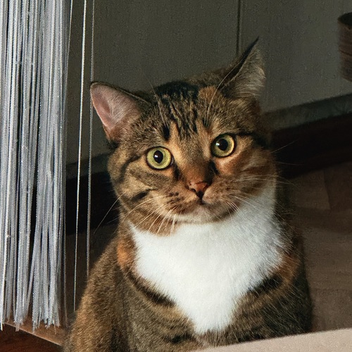 Photo #14031368