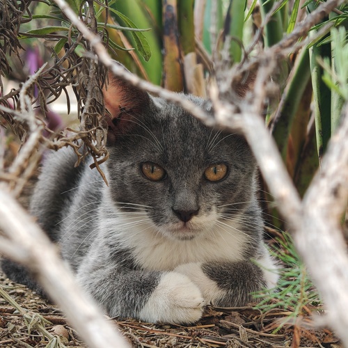 Photo #14031382