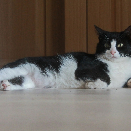 Photo #14031407