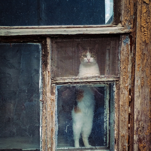 Photo #14031430
