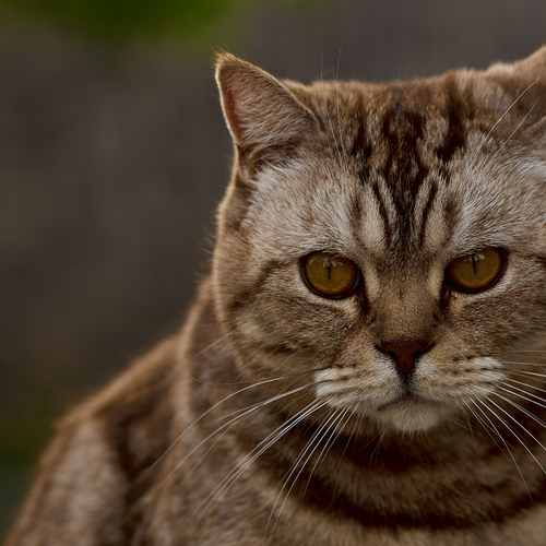 Photo #14031437