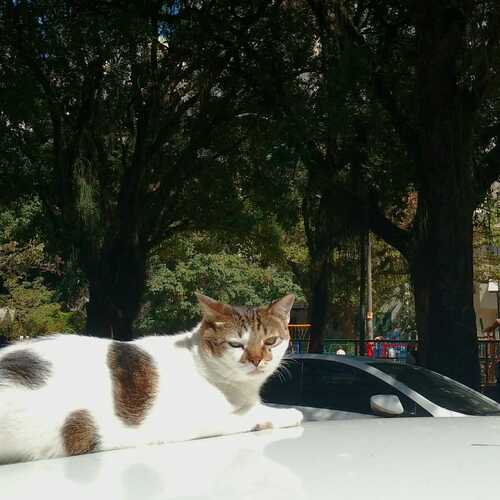 Photo #14031446