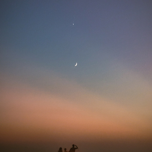 Photo #14031482