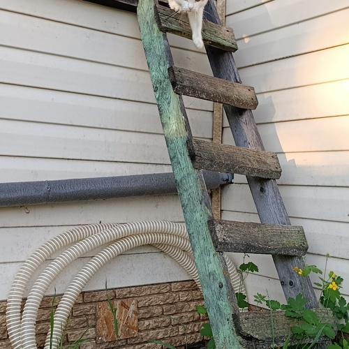 Photo #14031552