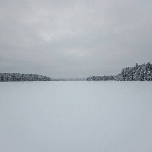 Лесное озеро
