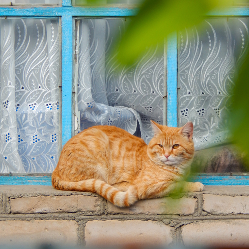 Photo #14031622