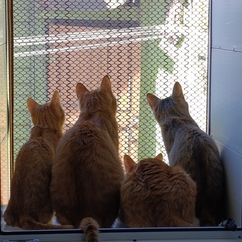 Photo #14031628