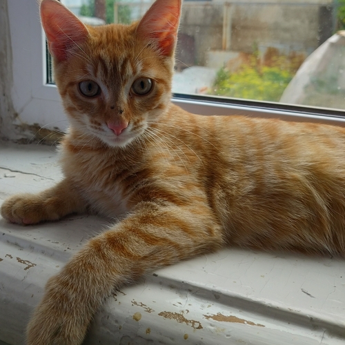 Photo #14031630