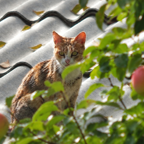 Photo #14031656