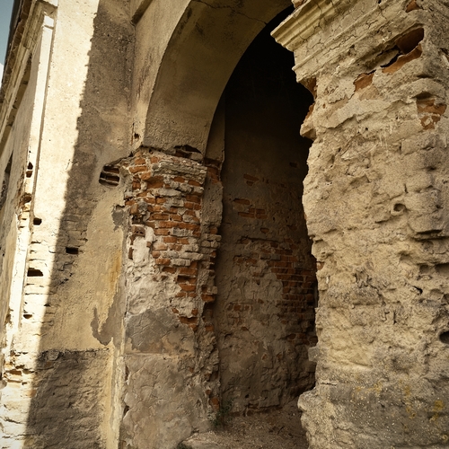 Photo #14031824