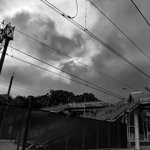 Photo #14031851