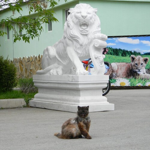 Photo #14031883