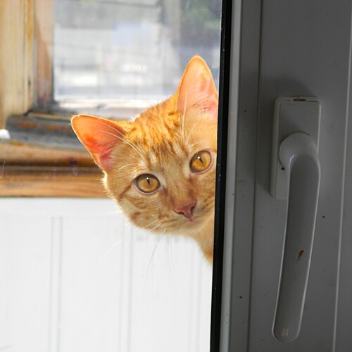 Photo #14031887