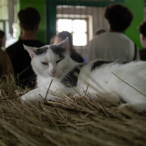 Photo #14031893