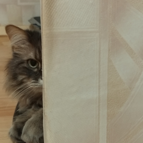 Photo #14031913