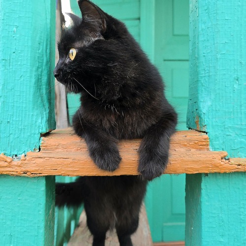 Photo #14031967