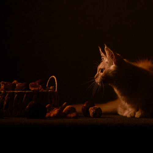 Photo #14032022