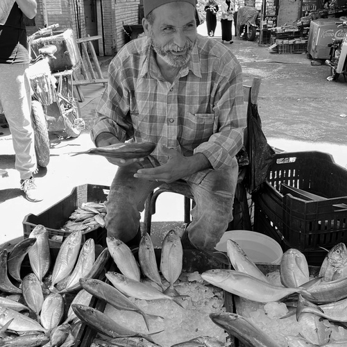 Photo #14032037