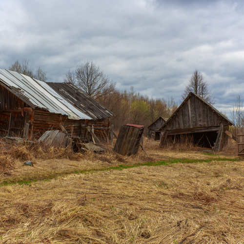 Photo #14032095