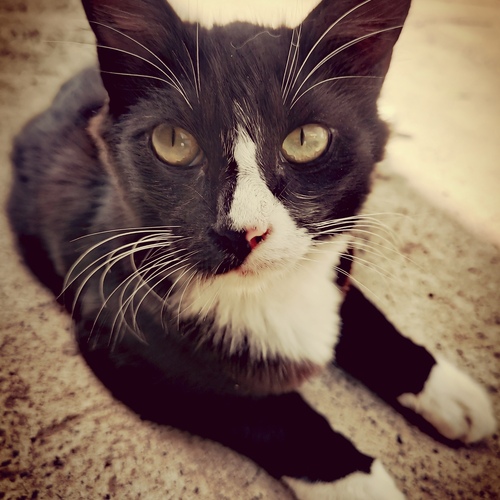 Photo #14032144