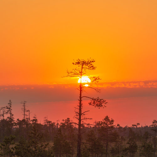 Photo #14032145