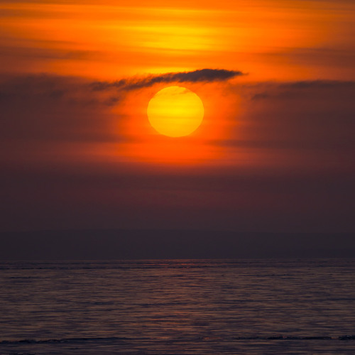 Photo #14032260