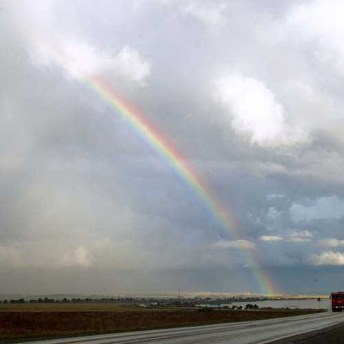 Photo #14032265