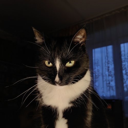 Photo #14032338