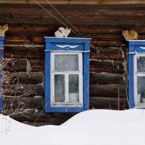 Photo #14032385