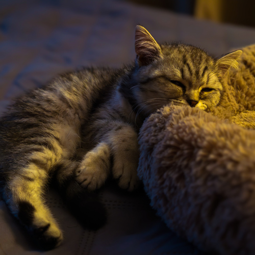 Photo #14032388
