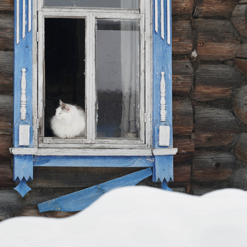 Photo #14032389