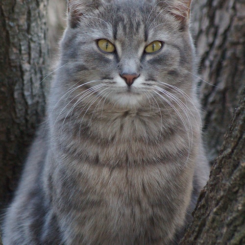 Photo #14032420