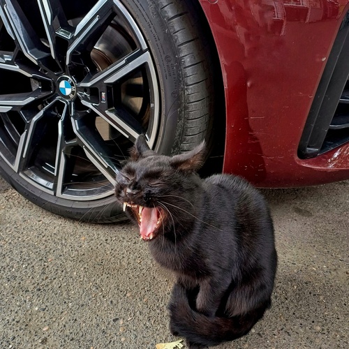 Photo #14032443