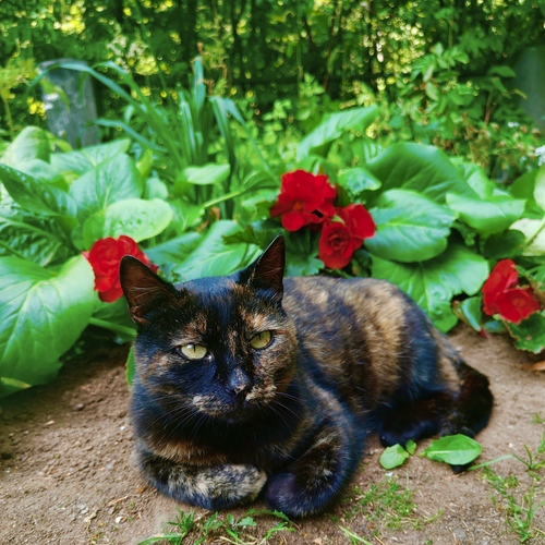Photo #14032444