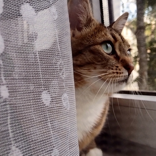Photo #14032451