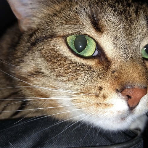 Photo #14032458