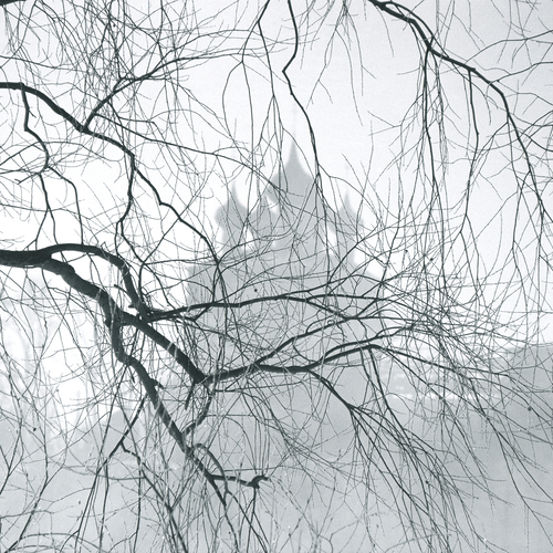 Photo #14032475