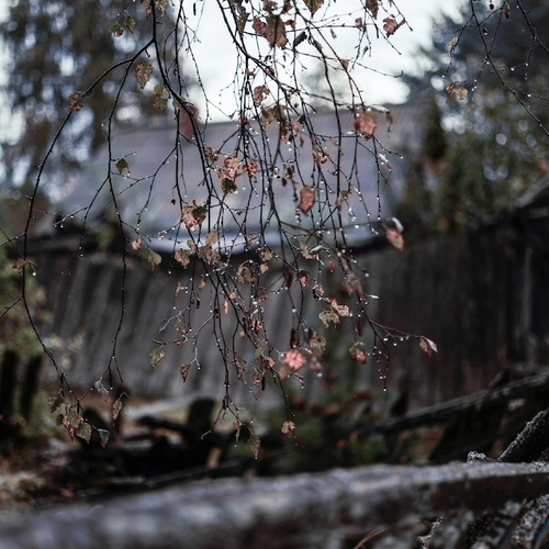 Photo #14032486