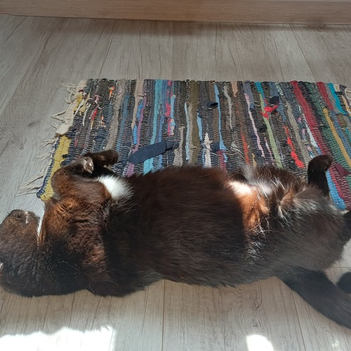 Photo #14032494