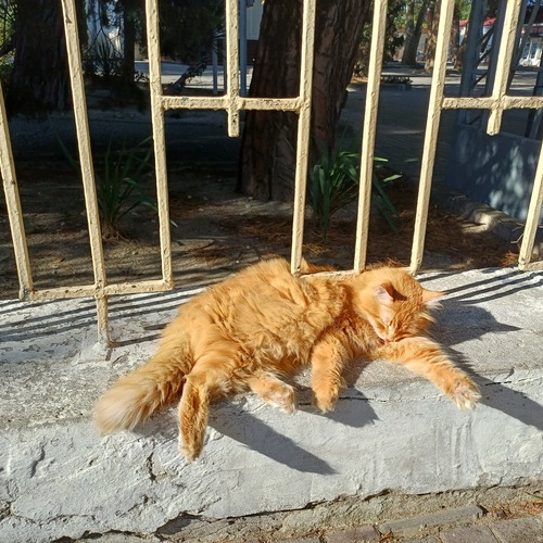 Photo #14032495
