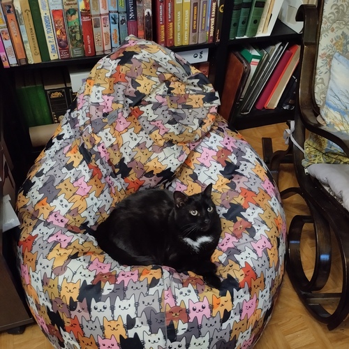 Photo #14032496