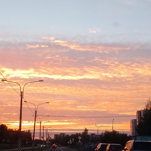 Photo #14032516